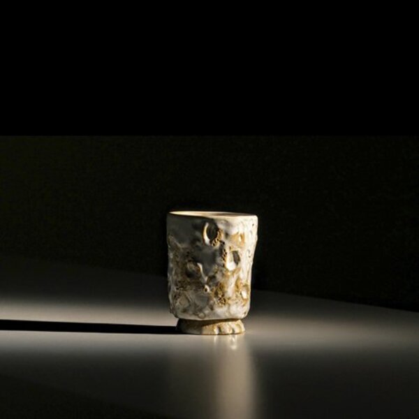 MOLE keramikinis puodelis EVOLIUCIJA